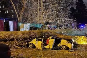 Сумасшедший ветер в Киеве: огромный дуб раздавил легковушку с людьми. ВИДЕО