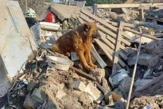 На руинах выл старый пес Крым: в Днепре российская ракета убила жену и двоих детей воина ВСУ