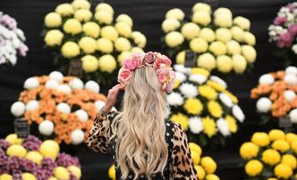 В Лондоне после двухлетнего перерыва открывается грандиозная выставка цветов Челси