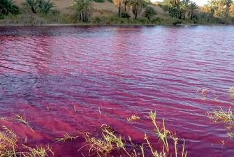 В Иордании внезапно окрасилась вода в озере: изображения вызвали фурор в соцсетях