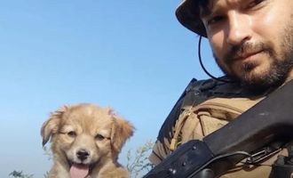 Украинского военного с фронта не пустили в маршрутку с собакой