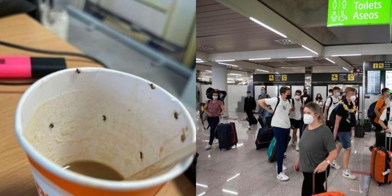 Девушка покинула аэропорт, борясь за свою жизнь после того, как выпила кофе с насекомыми