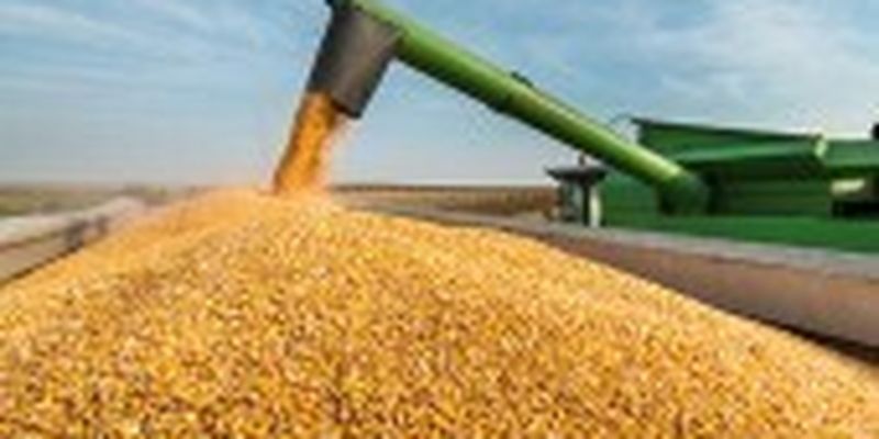 Аграрії в Україні почали молотити кукурудзу