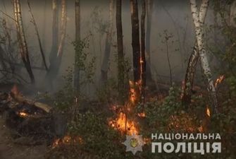 Чорнобильський ліс спалахнув через жіночу помсту - поліція