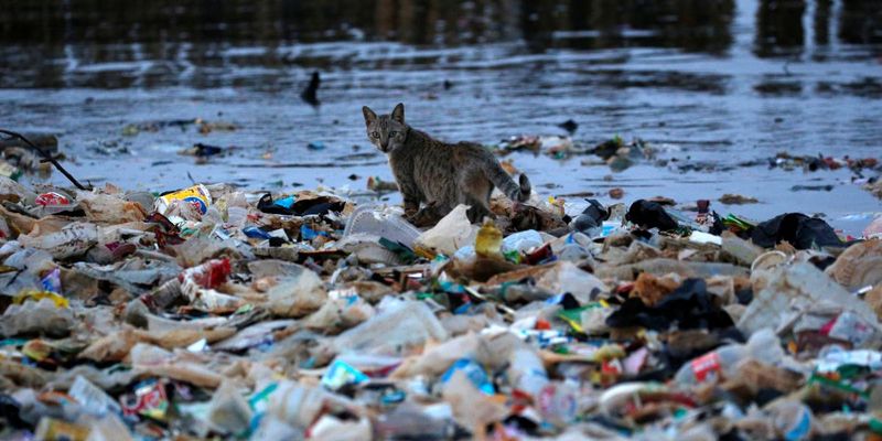 Румунія потопає у смітті: туристи та місцеві засипали купами непотребу ледь не усі пляжі