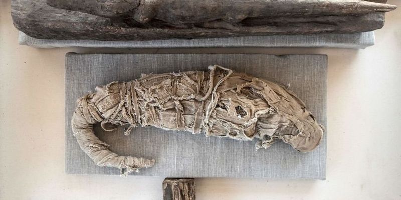 В Египте нашли самую загадочную мумию в истории