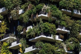 Защитят от смерти от жары: ученые посчитали, сколько деревьев потребуется высадить в городах