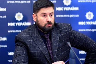 Жену скандального Гогилашвили официально трудоустроили в ОП