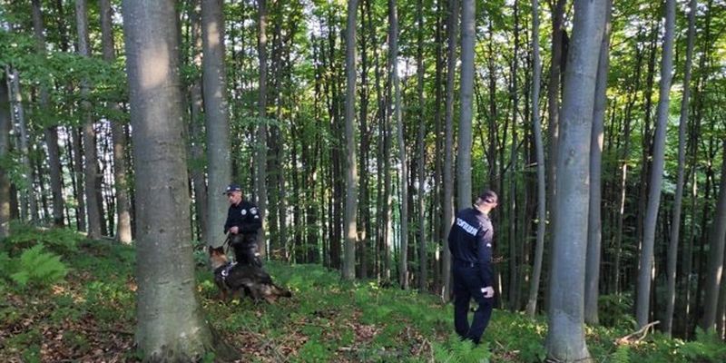 Сбежали от родителей: на Закарпатье ищут четырех детей, заблудившихся в лесу