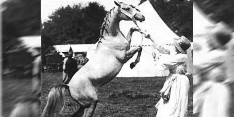 Лучшего коня в мире, считающегося эталоном лошадиной красоты, вывели под Хмельницким