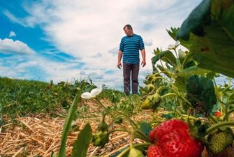 В Польше фермеры заинтересованы в украинских работниках – польский министр