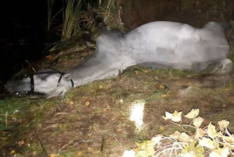 На Осокорках в Киеве в озере утонул конь