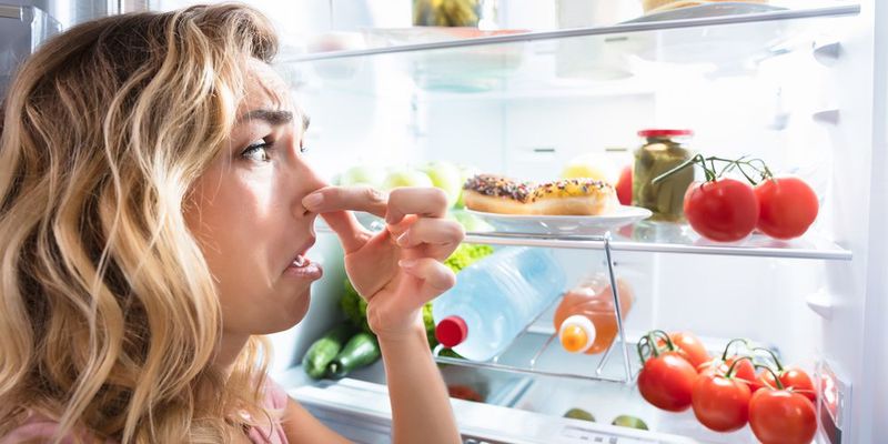 Как эффективно убрать неприятный запах с холодильника