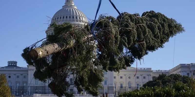 В Вашингтоне установили рождественскую ель
