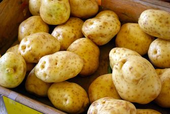 В Україні не буде дефіциту картоплі — експерт