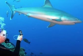 Храбрая дайверша отбилась от акулы голыми руками