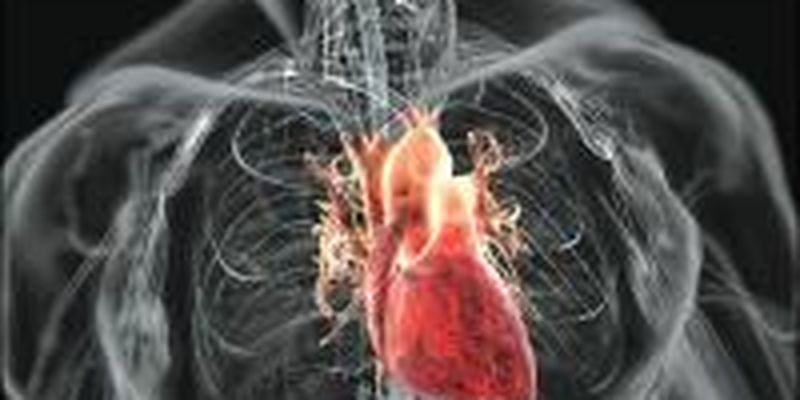 Названы признаки скорого сердечного приступа