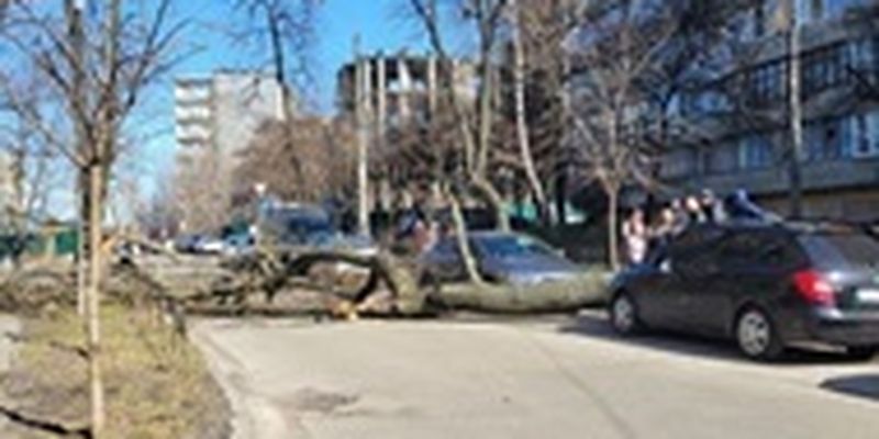 В Киеве от шквального ветра падают деревья и "мигает" свет - СМИ