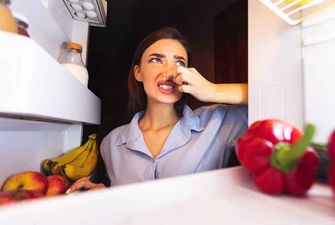 Как  быстро и эффективно убрать неприятный запах с холодильника?