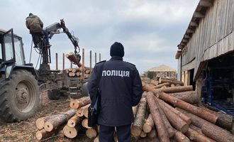 На Волыни полиция провела 10 обысков по подозрению в незаконной порубке лес