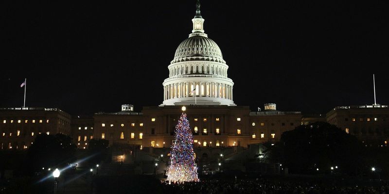 В США установили главную рождественскую елку