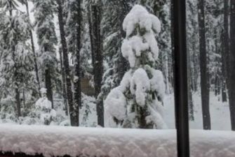 «Легли спать летом, а проснулись зимой»: Канаду завалило снегом