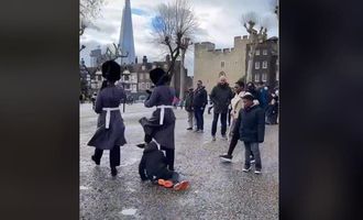 В Лондоне королевский караул сбил ребенка с ног