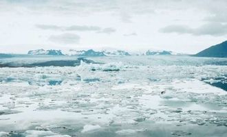 В Антарктиде обнаружили гигантскую полынью: ученые разгадали тайну удивительного явления