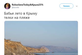 "Бабье лето" в разгаре: опубликовано забавное фото с пляжа в Крыму