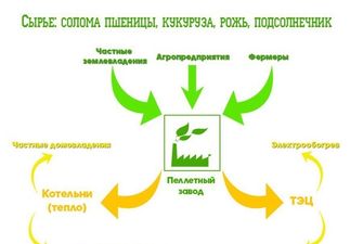 Вадим Нестеренко: Роль АПК в развитии реальной энергонезависимости Украины
