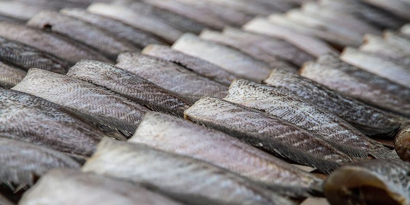 В Україні виробництво солоної риби збільшилося на 20%