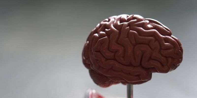 В мозку знайшли рецептори поганого настрою