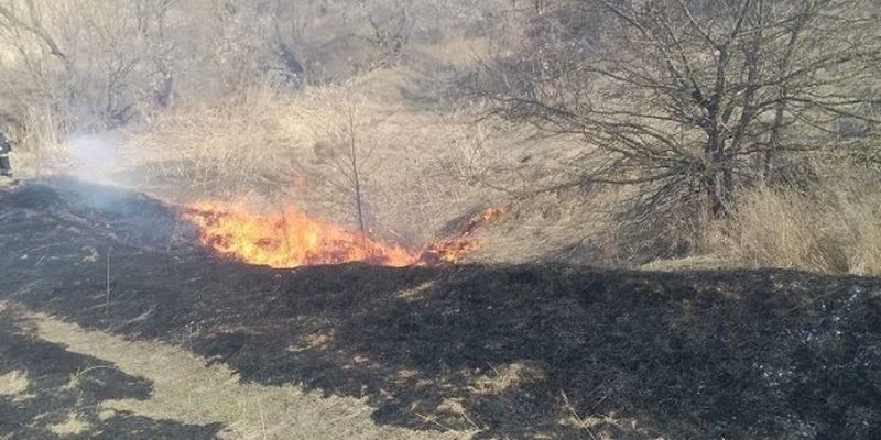Количество пожаров в экосистемах Луганщины за последние дни выросла в 16 раз
