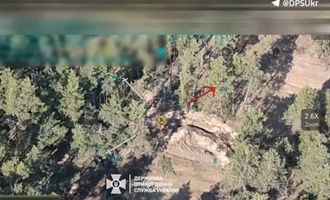 Укрытие в лесу не спасло: на Харьковщине уничтожили позиции оккупантов — видео