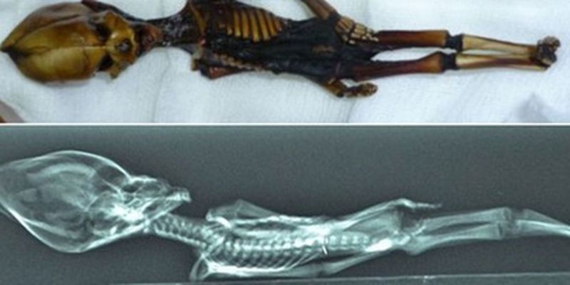 Ученые разгадали тайну скелета "инопланетянина" из пустыни Атакама - поражает своей формой: фото