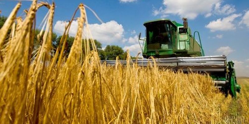 Аномальне тепло в Україні: як вплине відсутність опадів на цьогорічний врожай
