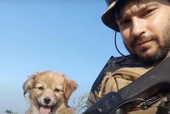 Украинского военного с фронта не пустили в маршрутку с собакой