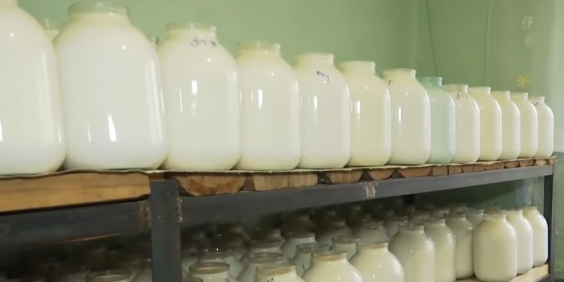 Експерти розповіли, чи подорожчає молочка в Україні