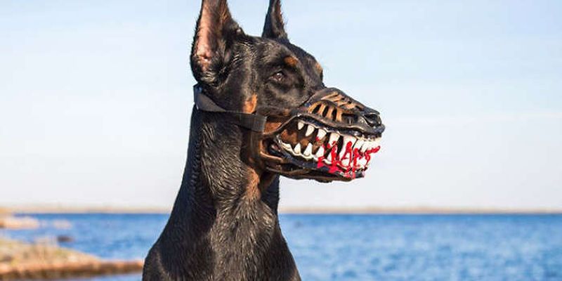 Модельер создал устрашающий «кровавый» намордник для собак