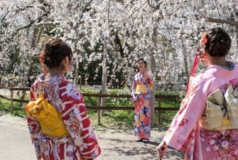 В Японии рекордно рано зацвела сакура
