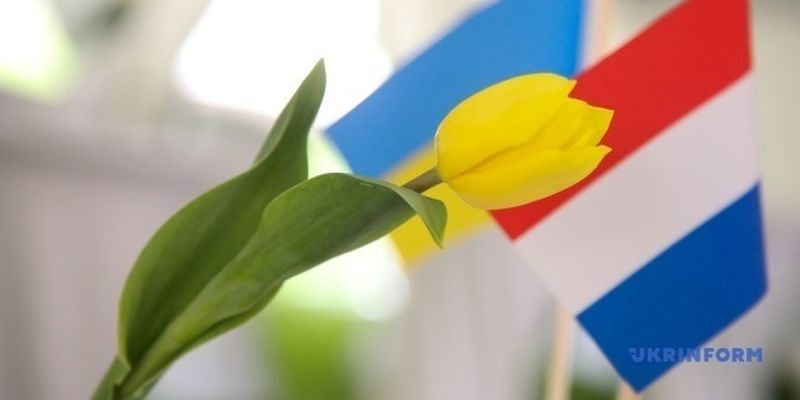 Сто тысяч тюльпанов от Нидерландов в центре Киева являются знаком дружбы - почетный консул