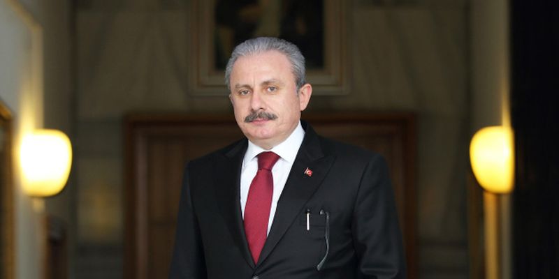 Турция окажет необходимую поддержку Крымской платформе - Шентоп