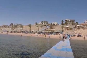На пляже Египта отдыхающие заметили акулу