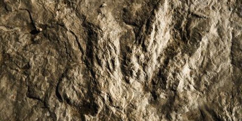 У наскельних малюнках виявили сліди динозаврів віком 145 млн років