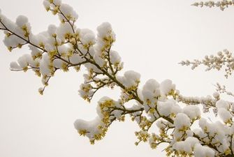 Украину в марте накроет снег, тепла придется ждать долго: синоптик дал детальный прогноз