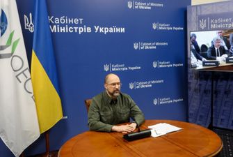 Шмыгаль надеется, что ОЭСР поддержит заявку Украины на вступление в Организацию