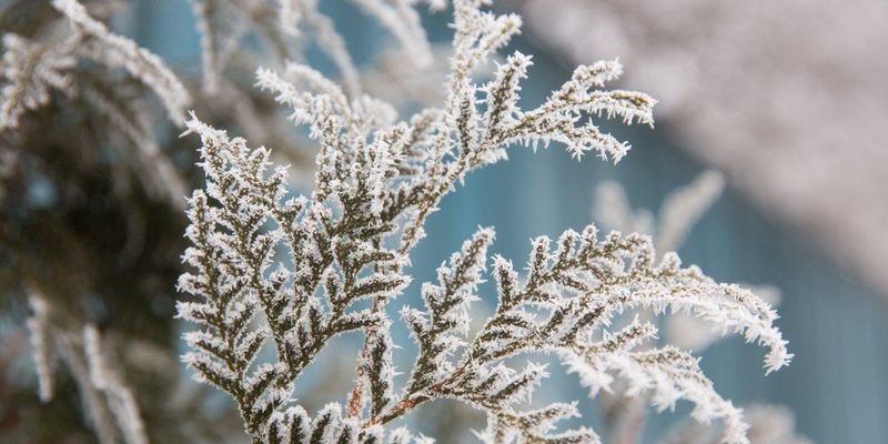 Мороз до -15° і сніг: тиждень в Україні почнеться з похолодання