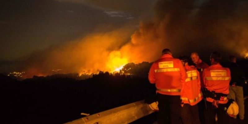 На Канарских островах продолжают гореть заповедники: эвакуировали 5 тысяч человек