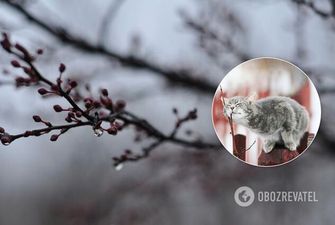Надвигается похолодание: синоптик дала прогноз на первый день апреля по Украине