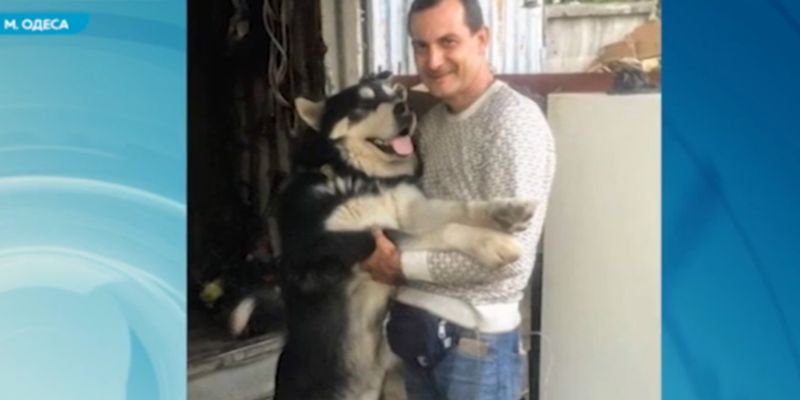 В Одессе пес встретился с хозяином после двух месяцев разлуки